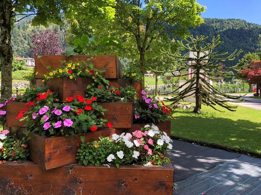 Holiday Guesthouse La Casina Di Butzi Pet Friendly - Terme Di Arta - Zoncolan Arta Terme Exteriör bild