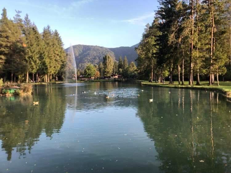 Holiday Guesthouse La Casina Di Butzi Pet Friendly - Terme Di Arta - Zoncolan Arta Terme Exteriör bild